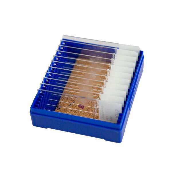 Tissue Control Slides